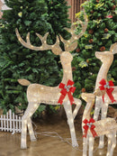 TRIO DE RENAS ARAMADA BRANCA COM CHAMPANHE WARM USO INTERNO E EXTERNO BIVOLT